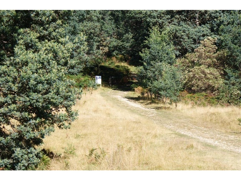 405 Moina Road, Moina TAS 7310