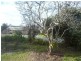3 Alice Street, Ulverstone TAS 7315