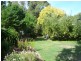 19 Forth Road, Turners Beach TAS 7315