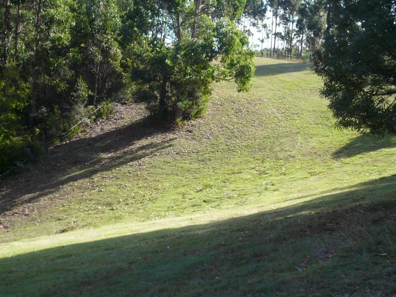 90 Montgomery Road, Penguin TAS 7316