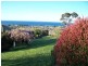 97 Trevor Street, Ulverstone TAS 7315