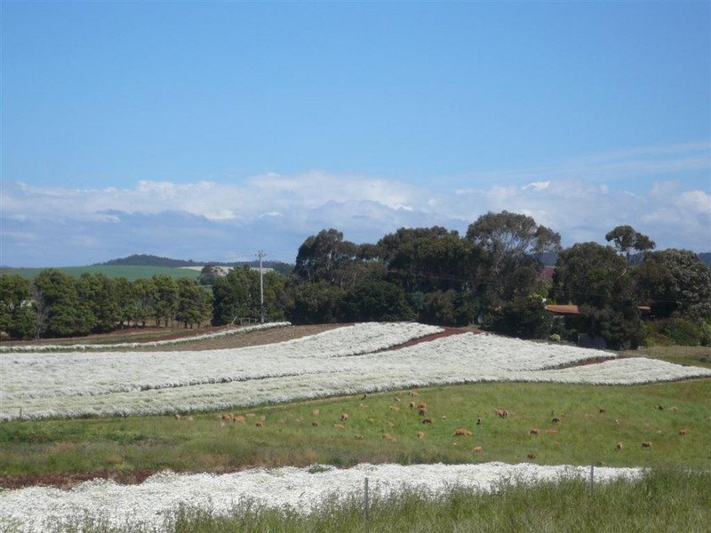 322 Braddons Lookout Road, Forth TAS 7310