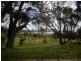 34 Clerke Street, Leith TAS 7315