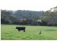 750 Forth Road, Forth TAS 7310