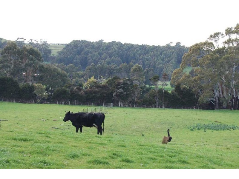 750 Forth Road, Forth TAS 7310