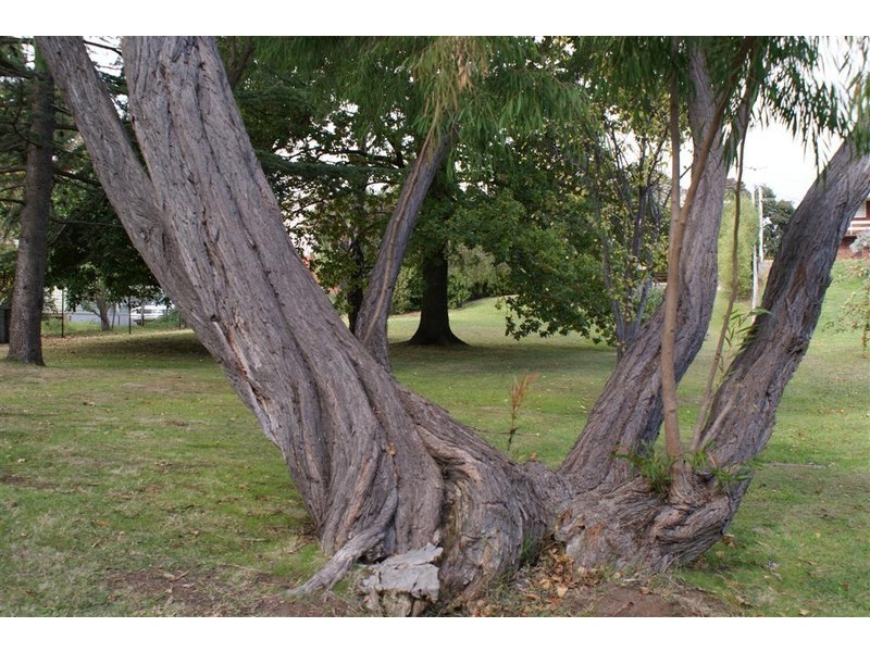 27 Eastland Drive, Ulverstone TAS 7315