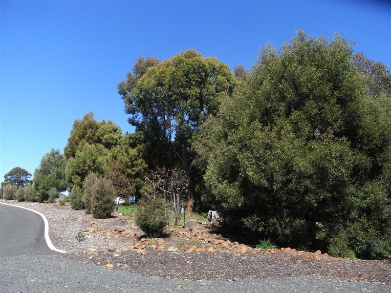 101 Medici Drive, Gawler TAS 7315