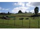 7 Lake Barrington Road, Wilmot TAS 7310