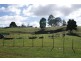 7 Lake Barrington Road, Wilmot TAS 7310