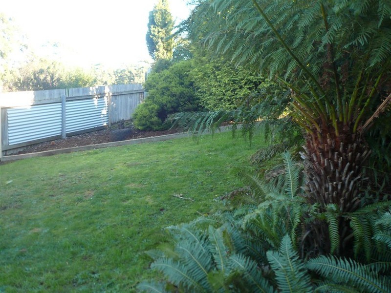 17 Jackson Avenue, Ulverstone TAS 7315