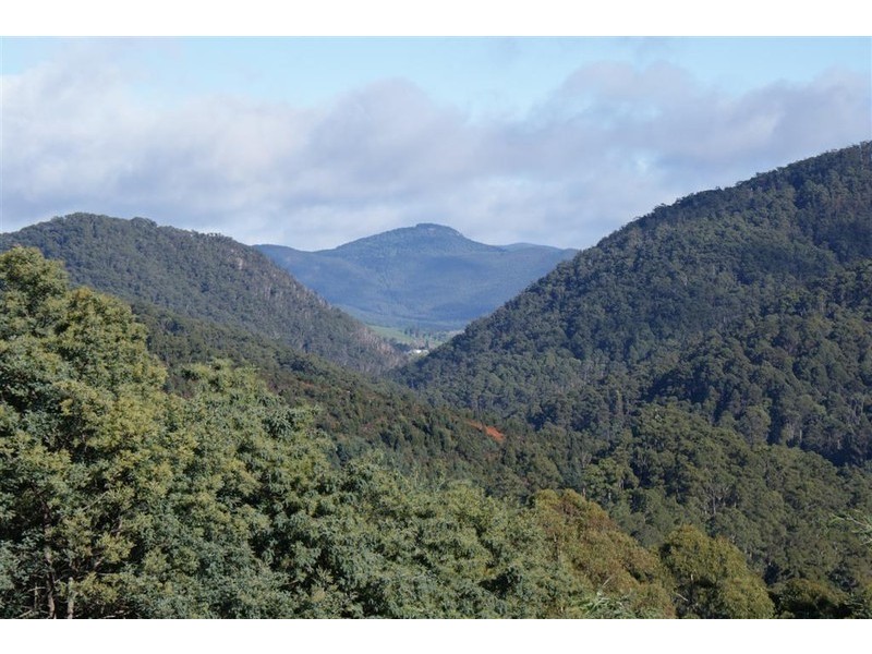221 Gunns Plains Road, North Motton TAS 7315