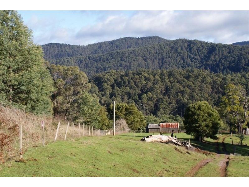 221 Gunns Plains Road, North Motton TAS 7315
