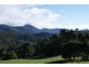 221 Gunns Plains Road, North Motton TAS 7315