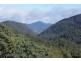 221 Gunns Plains Road, North Motton TAS 7315