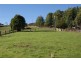 221 Gunns Plains Road, North Motton TAS 7315