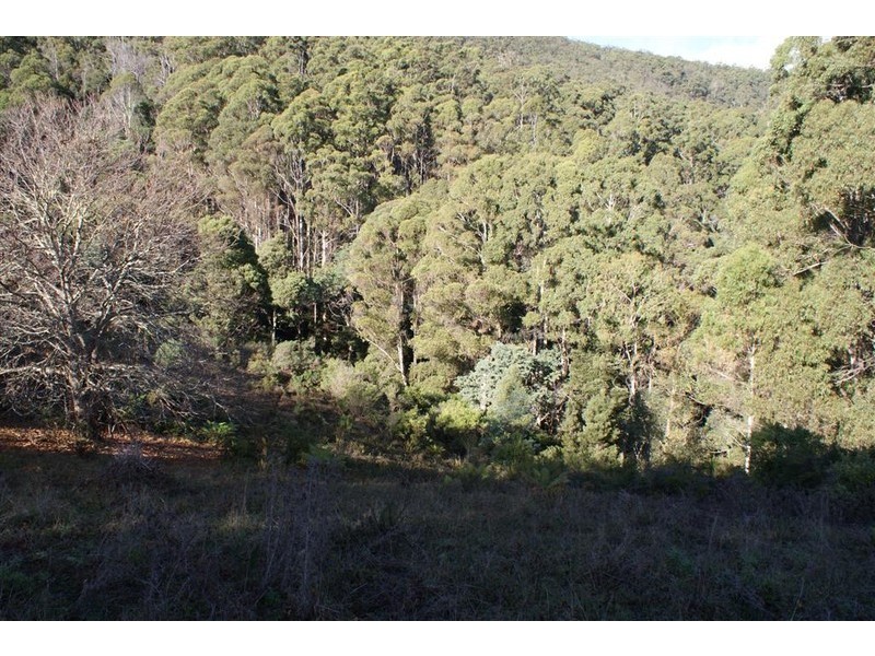 221 Gunns Plains Road, North Motton TAS 7315