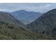 221 Gunns Plains Road, North Motton TAS 7315