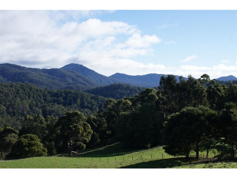 221 Gunns Plains Road, North Motton TAS 7315