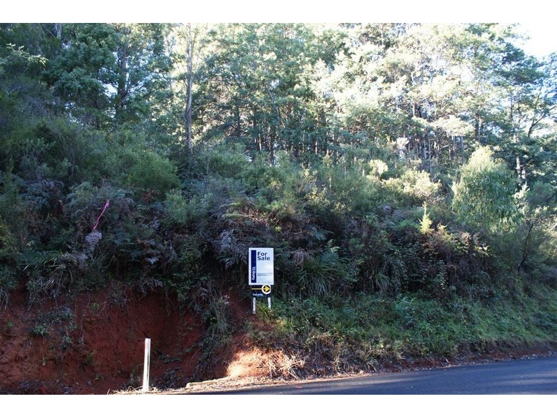 221 Gunns Plains Road, North Motton TAS 7315