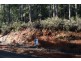 221 Gunns Plains Road, North Motton TAS 7315