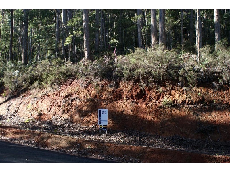 221 Gunns Plains Road, North Motton TAS 7315