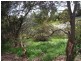 65 Deviation Road, Penguin TAS 7316