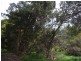 65 Deviation Road, Penguin TAS 7316