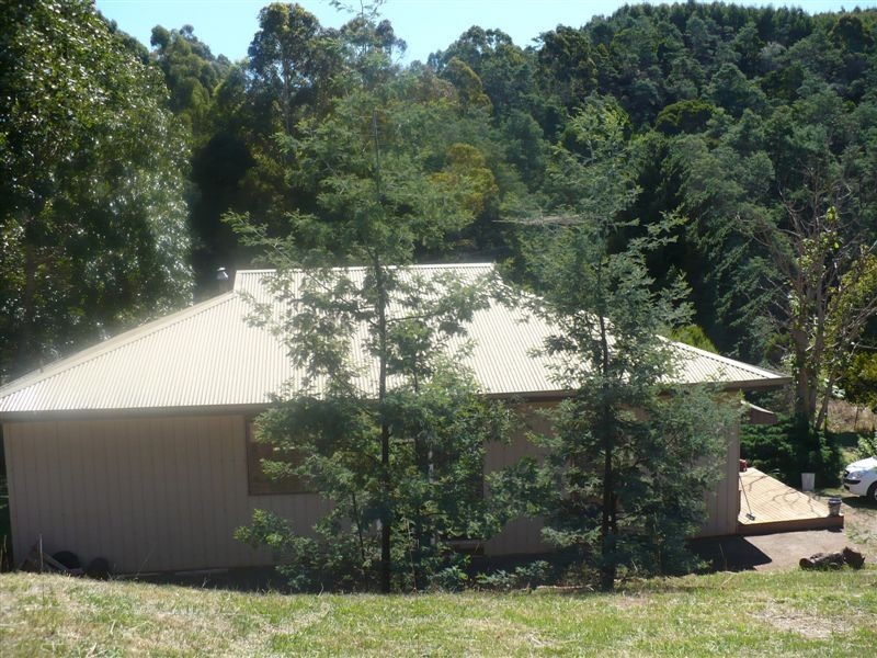 362 Thompsons Road, Forth TAS 7310