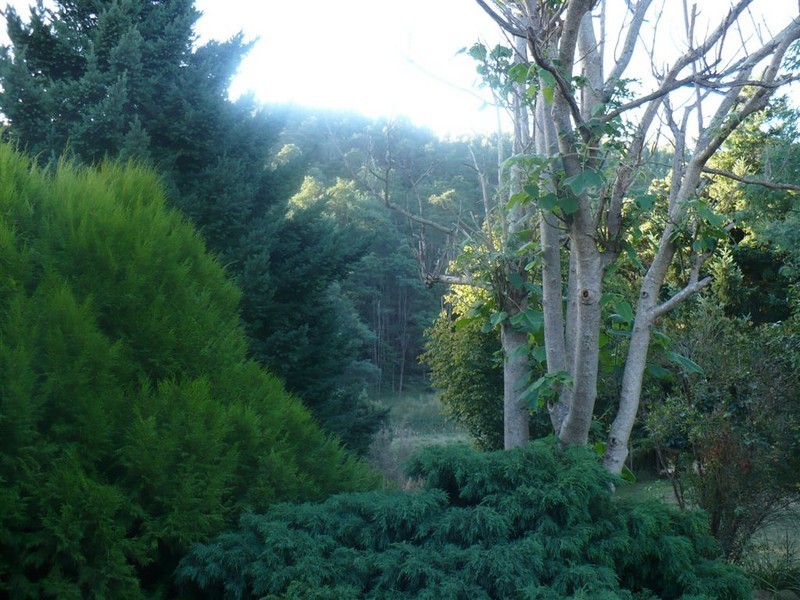 362 Thompsons Road, Forth TAS 7310