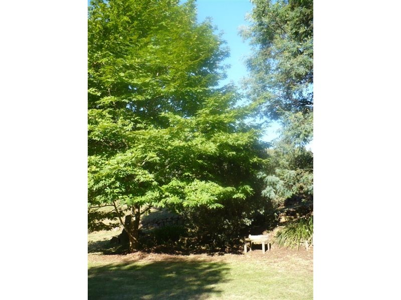 362 Thompsons Road, Forth TAS 7310