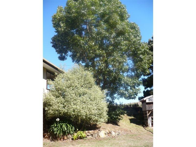 362 Thompsons Road, Forth TAS 7310