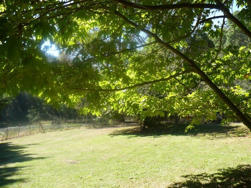 362 Thompsons Road, FORTH, Ulverstone TAS 7315