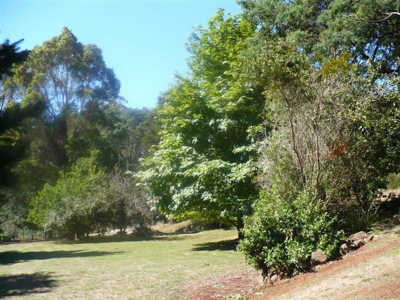 362 Thompsons Road, FORTH, Ulverstone TAS 7315