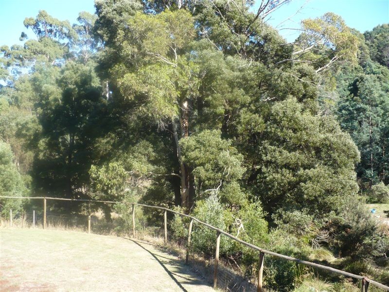 362 Thompsons Road, FORTH, Ulverstone TAS 7315