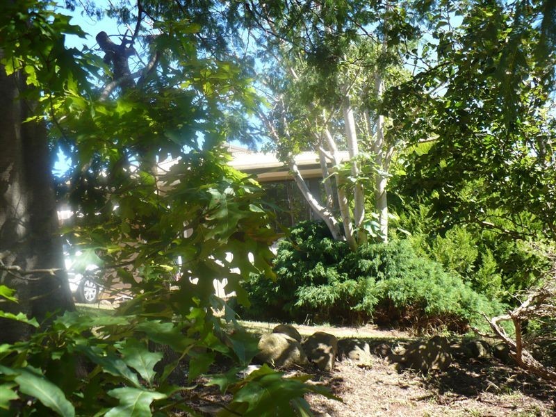 362 Thompsons Road, FORTH, Ulverstone TAS 7315