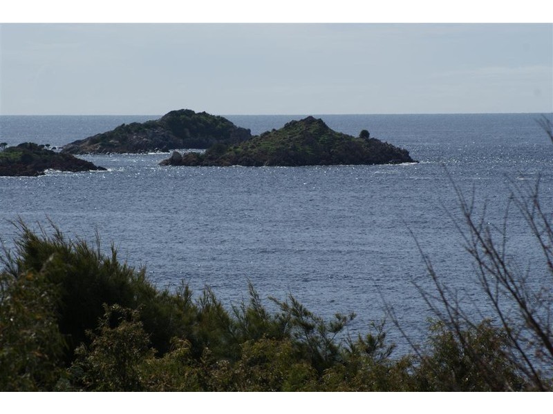 281 Penguin Road, Ulverstone TAS 7315