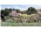 281 Penguin Road, Ulverstone TAS 7315