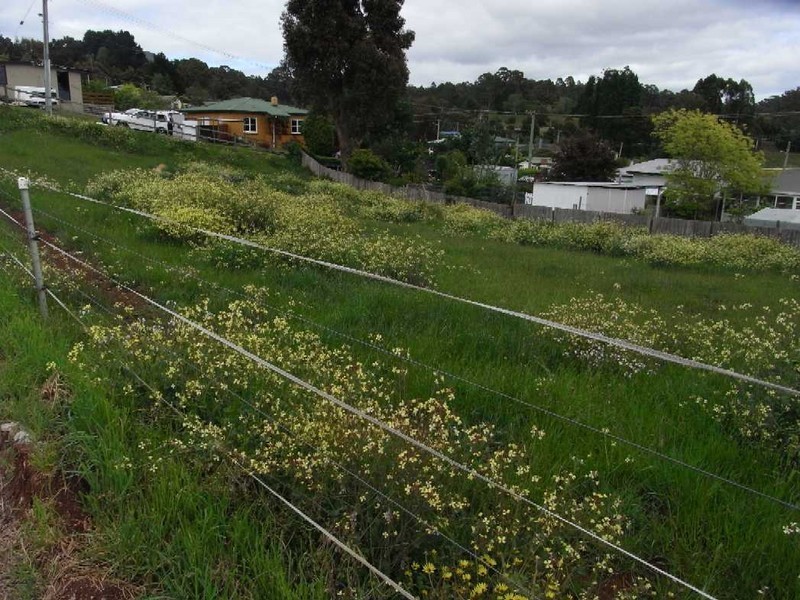 1 Southwood Avenue, Penguin TAS 7316