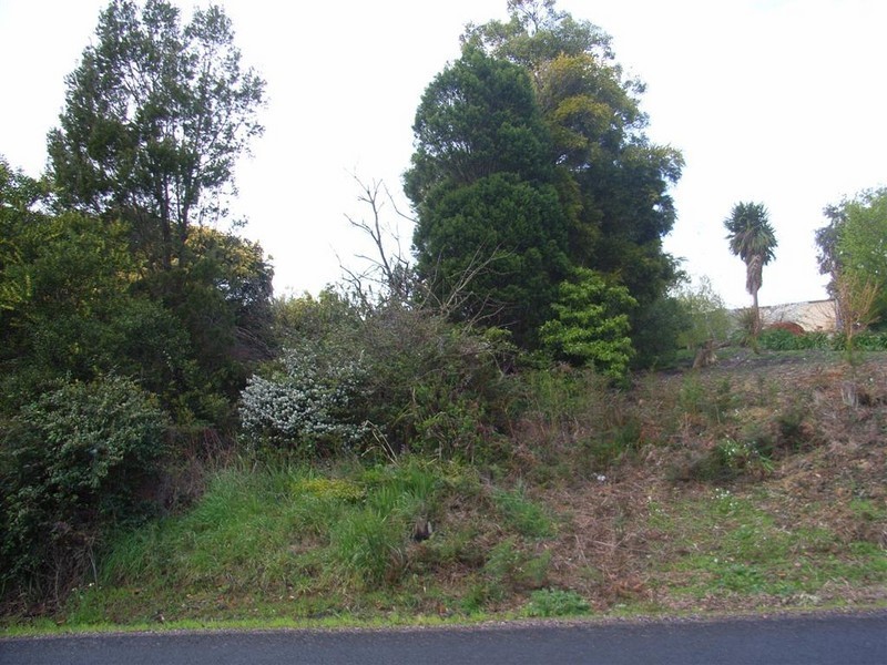 65 Deviation Road, Penguin TAS 7316