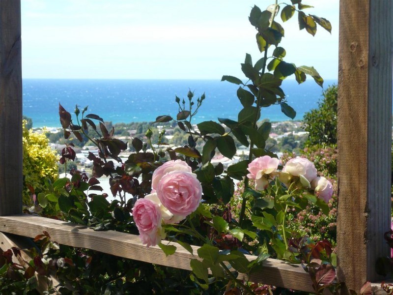 5 Laurel Place, Ulverstone TAS 7315