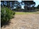 2 Clerke Street, Leith TAS 7315