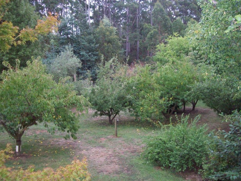 110 Clerkes Plains Road, Spalford, Ulverstone TAS 7315