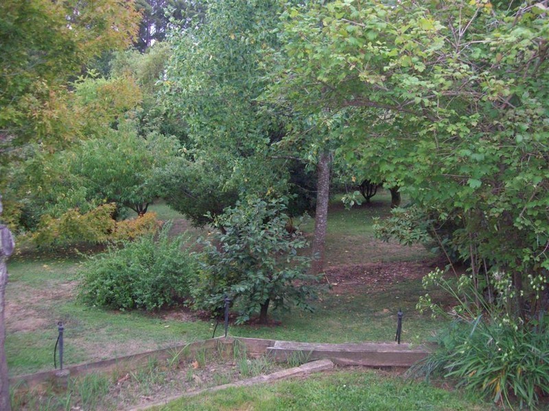 110 Clerkes Plains Road, Spalford, Ulverstone TAS 7315