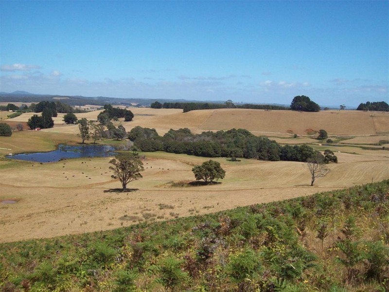 Wyllies Road, Riana TAS 7316