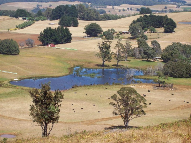 Wyllies Road, Riana TAS 7316