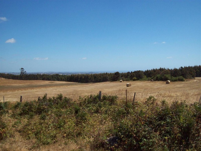 Wyllies Road, Riana TAS 7316