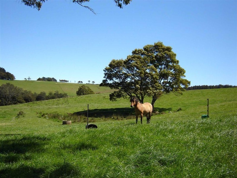 Wyllies Road, Riana TAS 7316