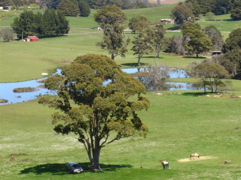 Wyllies Road, Riana TAS 7316