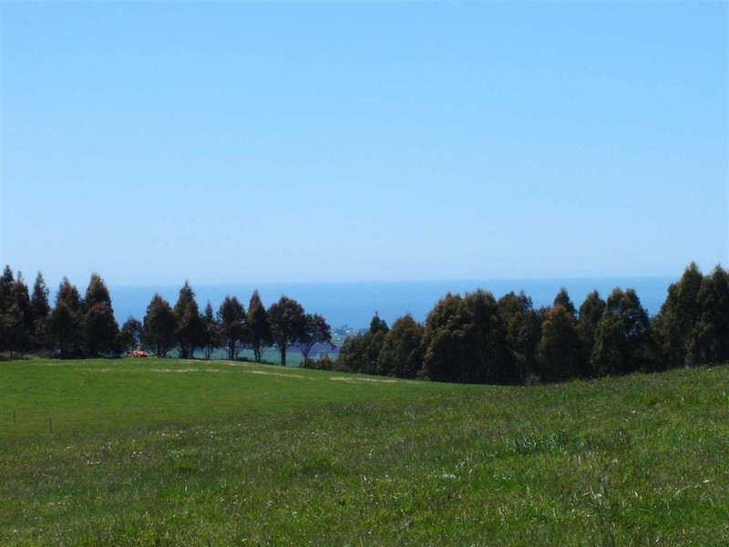 Wyllies Road, Riana TAS 7316