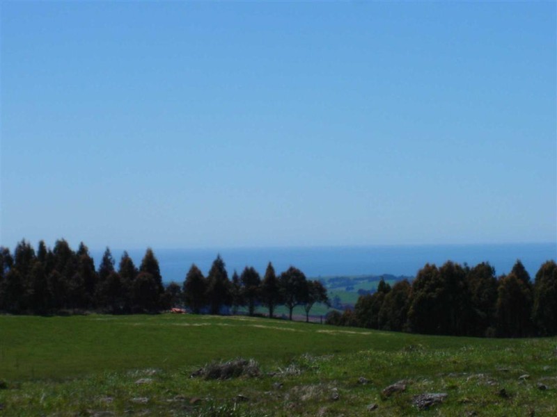 Wyllies Road, Riana TAS 7316